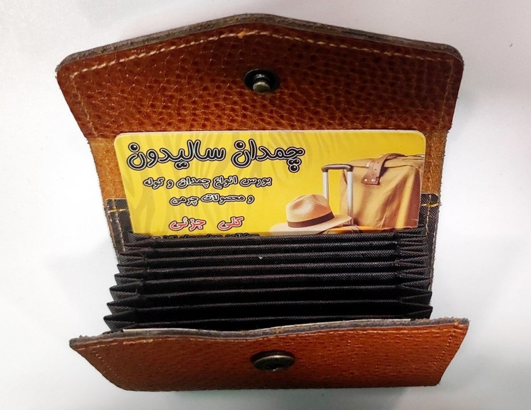 جاکارتی سالیدون